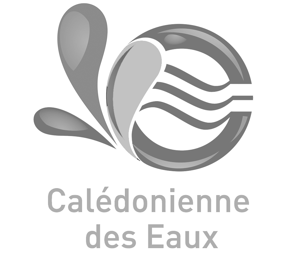 Calédonienne des eaux