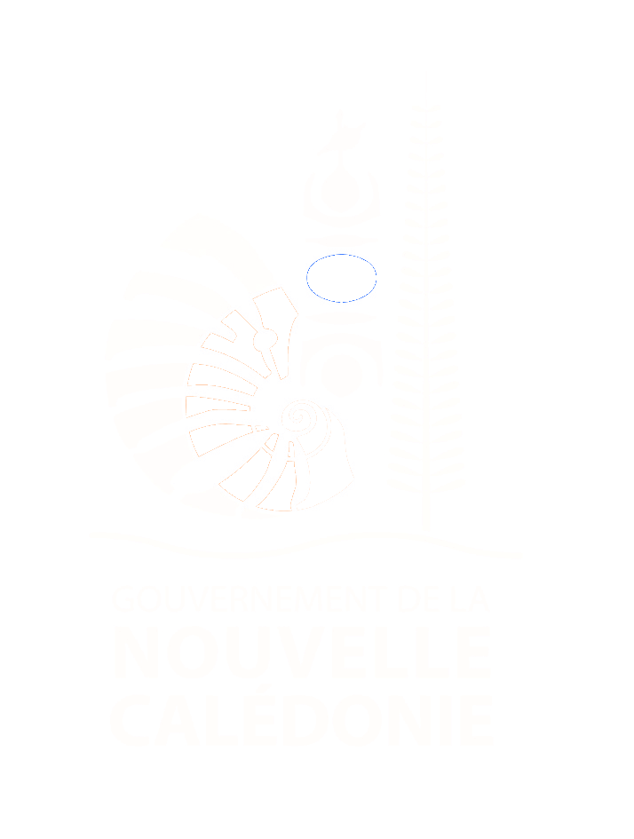 Gouvernement NC